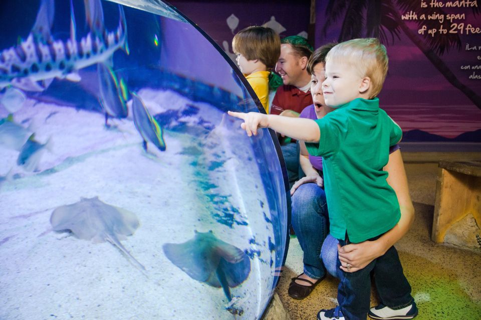 Auburn Hills: Legoland and Sea Life Aquarium Combo Ticket - Participant and Date Selection
