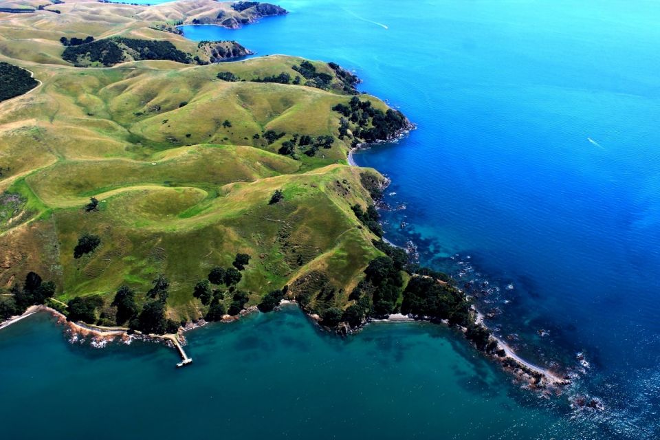 Auckland: Auckland City & Hauraki Gulf Scenic Flight - Payment Options