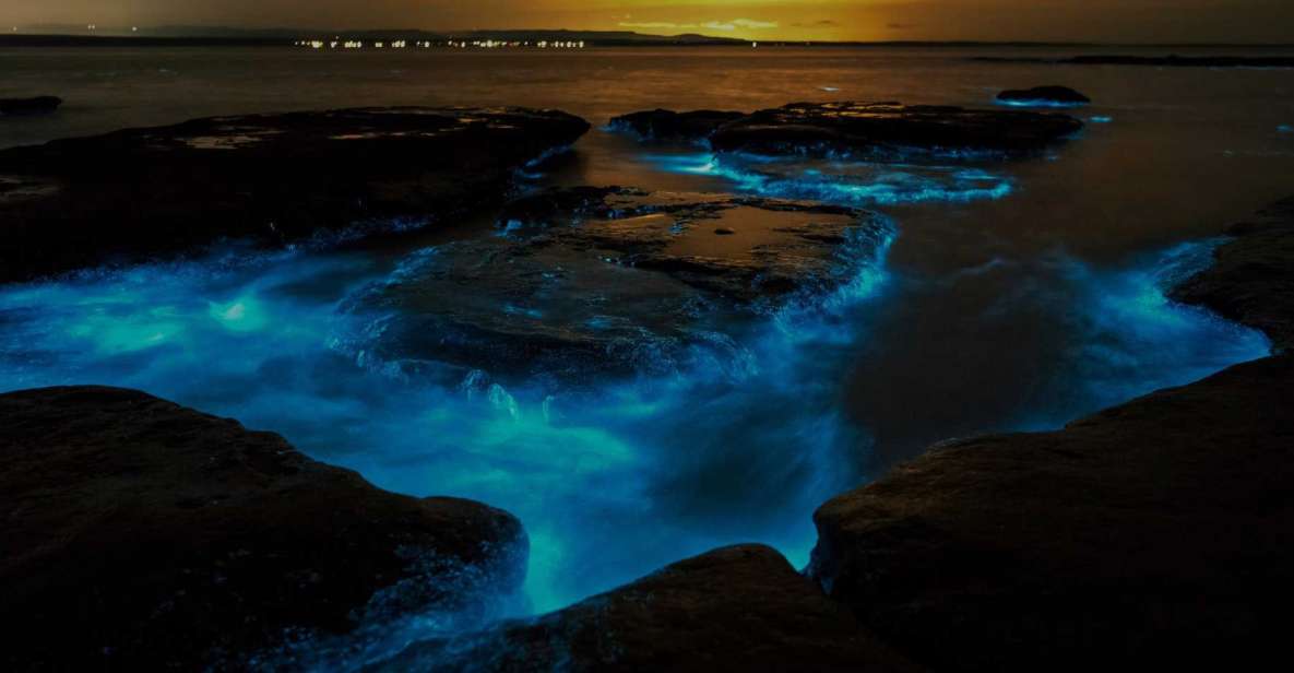 Auckland: Bioluminescence Kayak Tour - Small Group Guided Kayak Tour