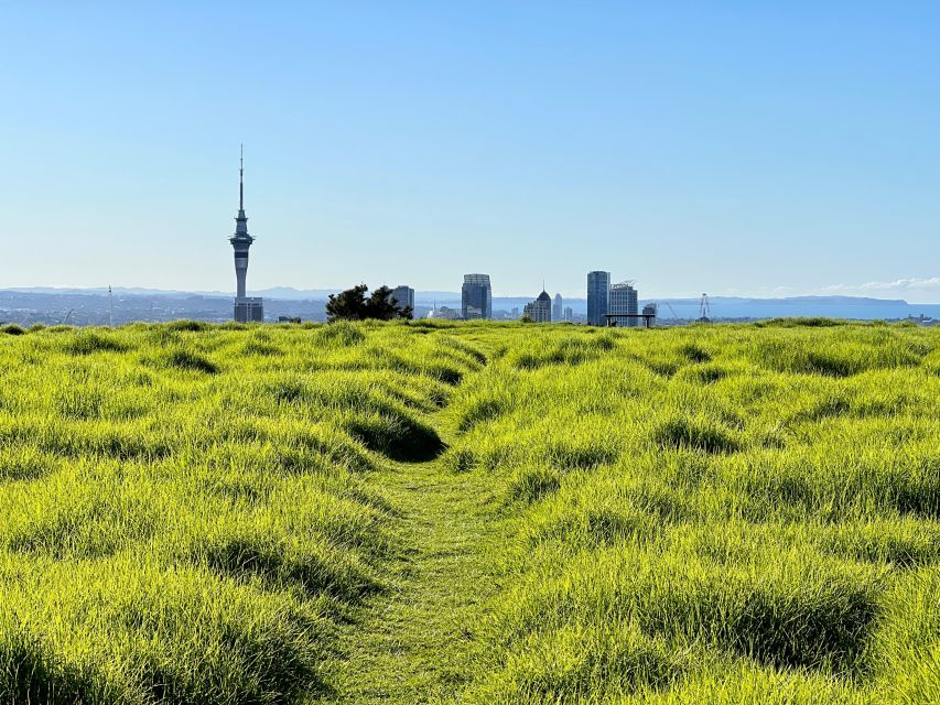 Auckland: City Sightseeing and Explore Piha Beach - Activity Duration and Cancellation Policy