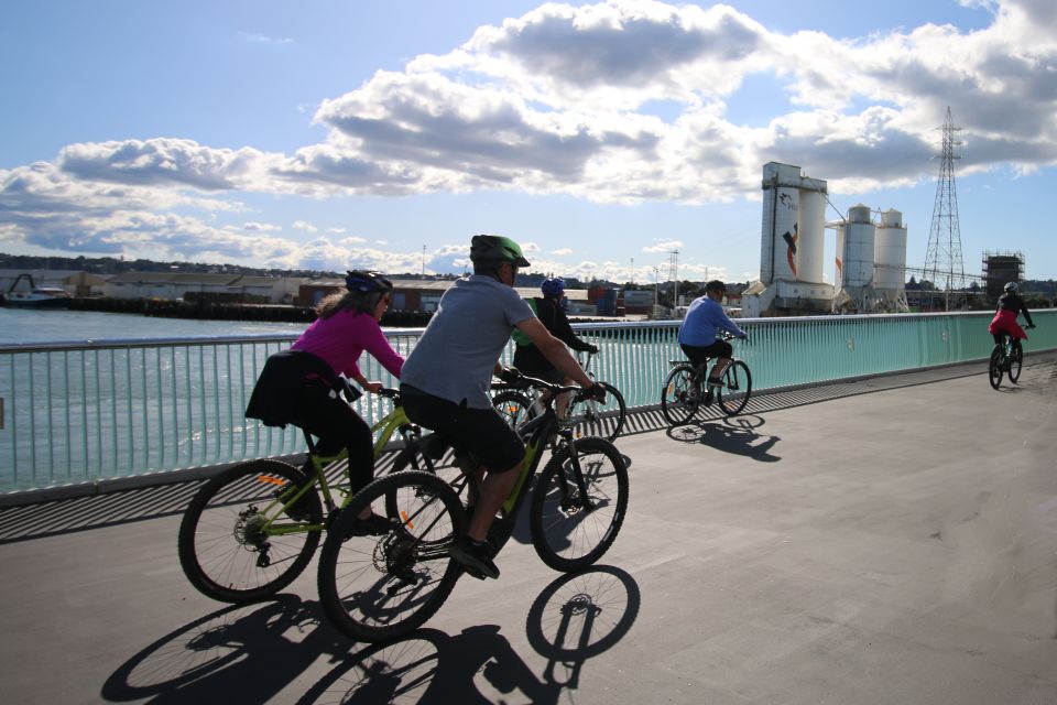 Auckland Half-Day Ebike Tour Excursion - What to Bring and Tour Cost