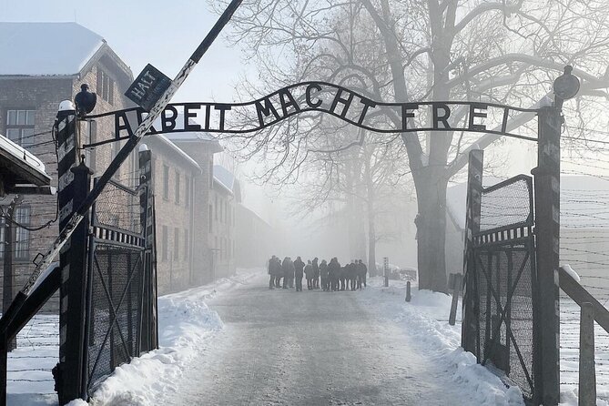 Auschwitz and Birkenau Fully Guided Tour From Krakow - Important Information and Site Visit Experience