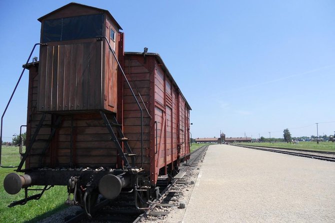 Auschwitz-Birkenau Group Tour From Krakow - Logistics and Recommendations