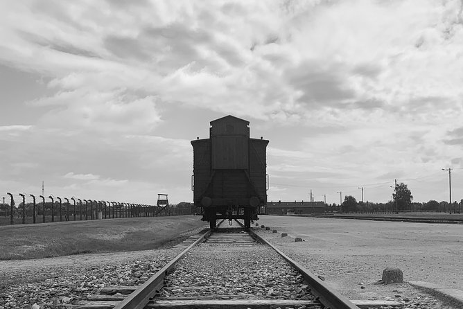 Auschwitz-Birkenau Guided Tour From Krakow With a Private Transport - Common questions