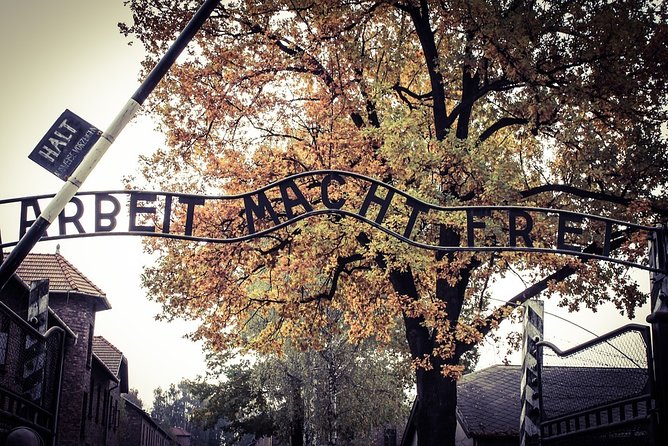 Auschwitz-Birkenau Live Guided Tour and Transfer From Krakow - Transfer Options and Inclusions