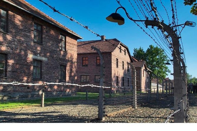 Auschwitz-Birkenau Museum and Memorial Guided Tour From Krakow - Logistics and Organization