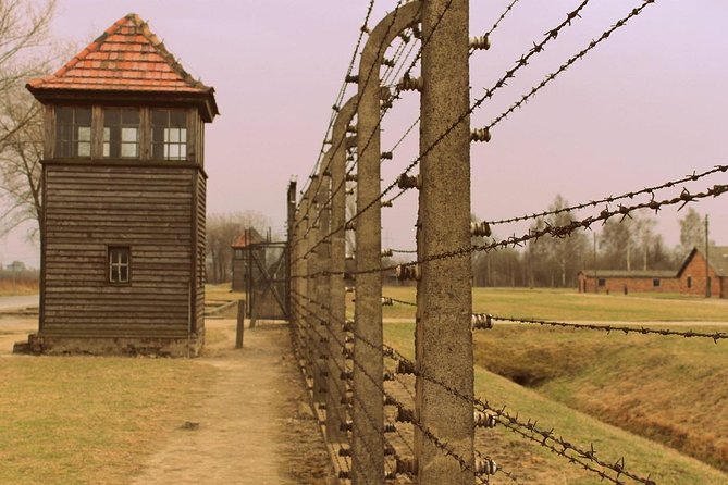 Auschwitz Small Group Tour From Warsaw With Lunch - Customer Reviews and Feedback