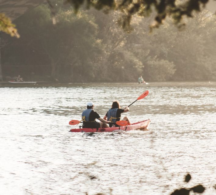 Austin: Single or Double Kayak Rental - Experience Highlights