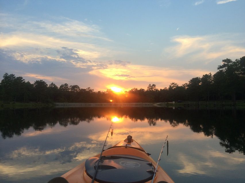 Austin: Sunset Bat Watching Kayak Tour - Reviews Summary From Tour Participants