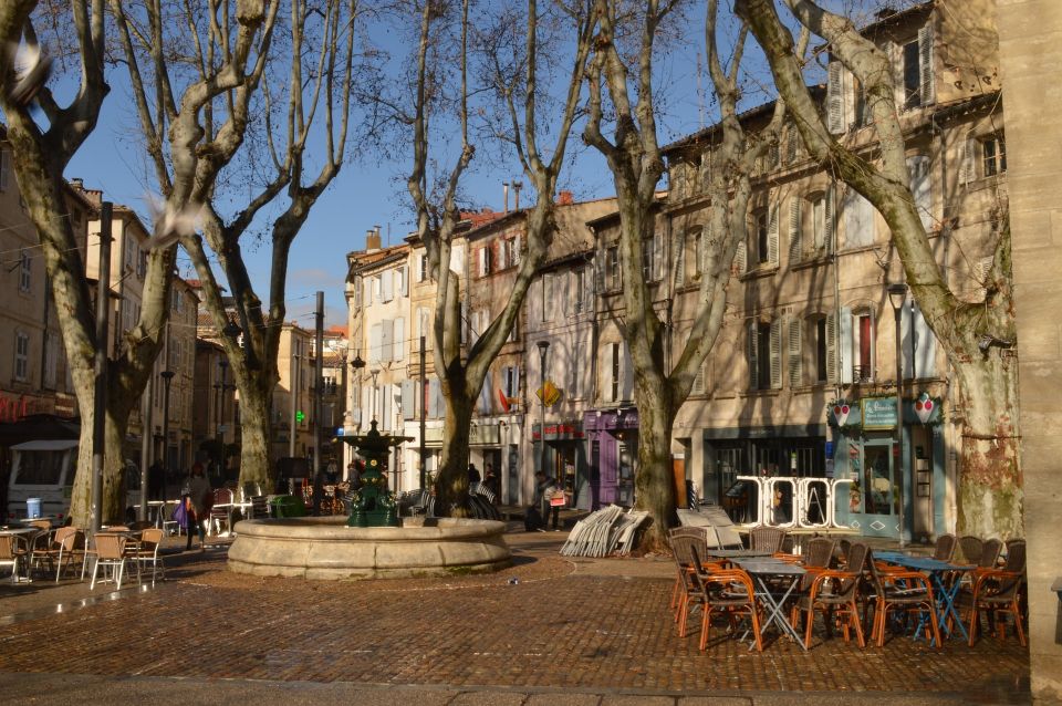 Avignon Private Guided Tour and Wine Tastings From Marseille - Avignon City Exploration