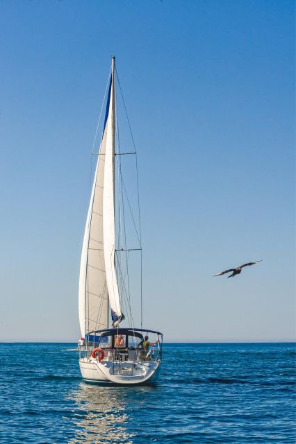 Avra, Half - Day Sailing Cruise - Inclusions