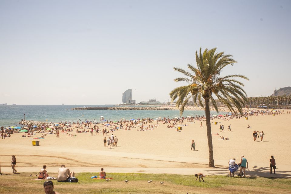 Barcelona: 2-Hour City Sights Guided Segway Tour - Barcelona Landmarks and Landscapes