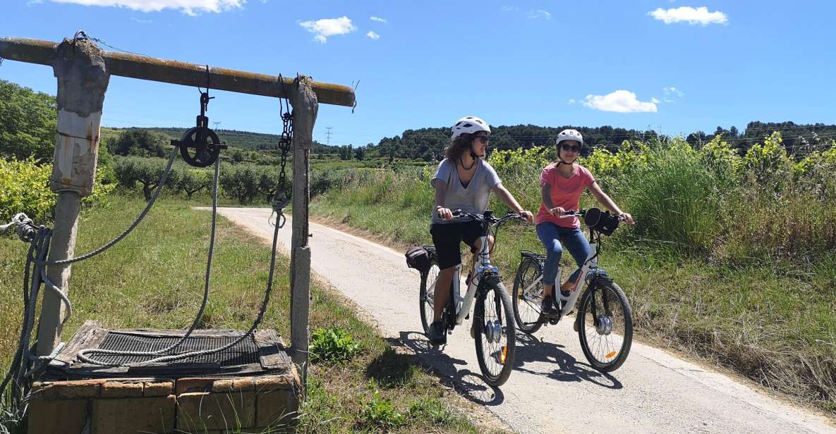 Barcelona: Bike & Wine Guided Tour - Penedès Vineyards - Tour Description