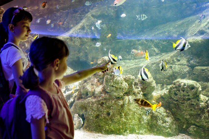 Barcelona City Tour Hop-On Hop-Off and Aquarium - Support and Contact Information