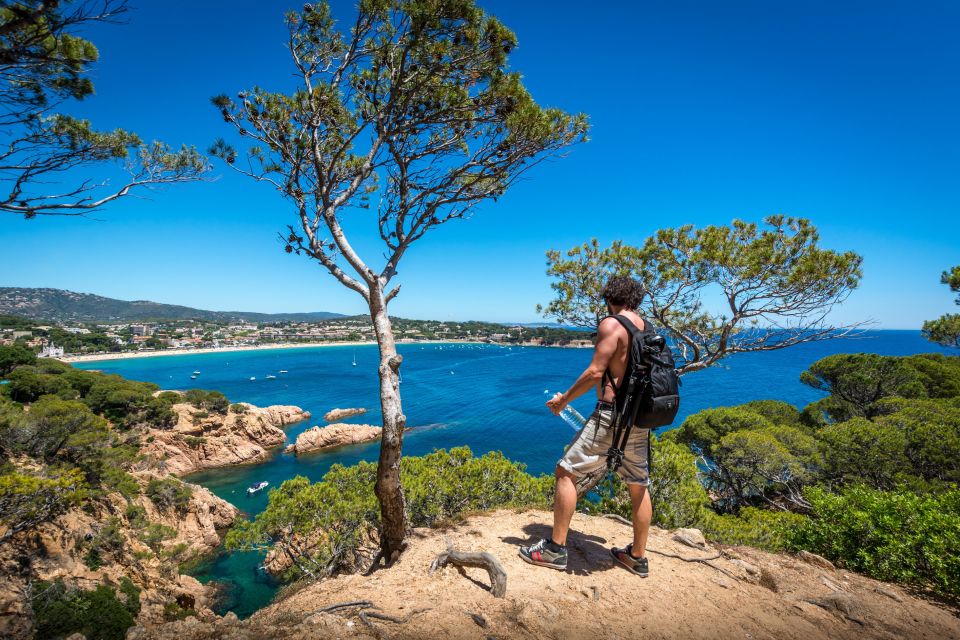 Barcelona: Costa Brava Hike, Snorkel & Cliff Jump With Lunch - Activity Highlights and Detailed Description