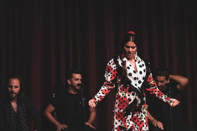 Barcelona: Flamenco Show at Palau Dalmases - Full Description