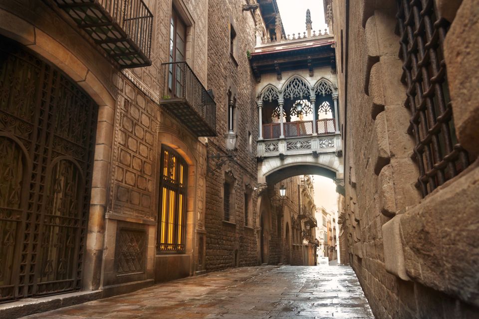 Barcelona: Gothic Quarter Private Guided Walking Tour - Experience Highlights and Virtual Exploration