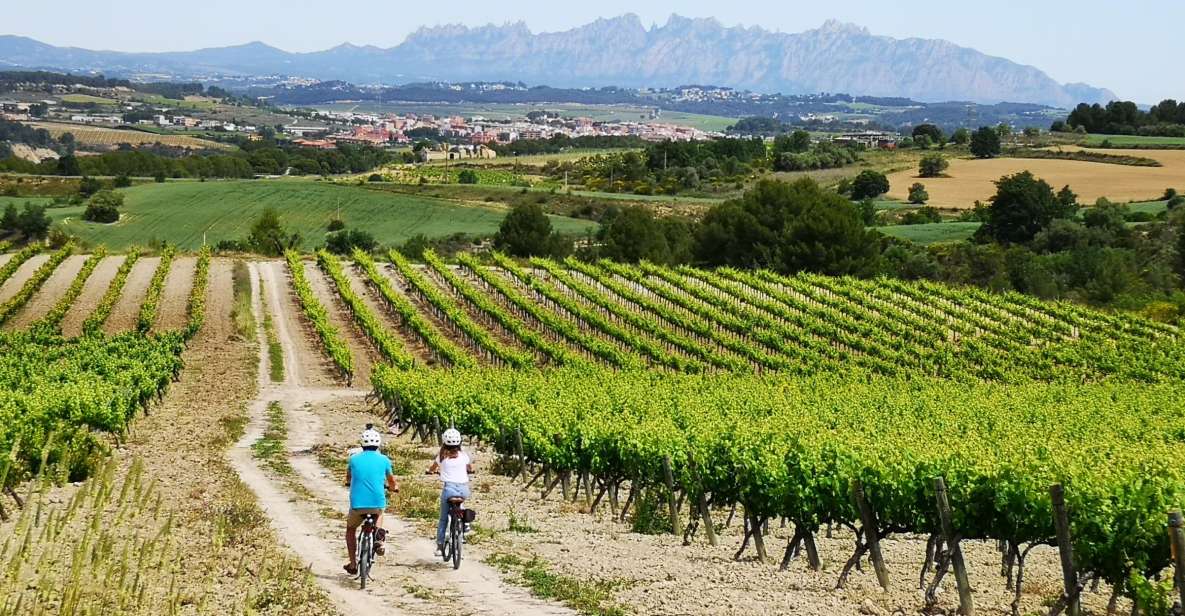 Barcelona: Guided Half-Day Wine and Electric Bike Tour - Tour Description