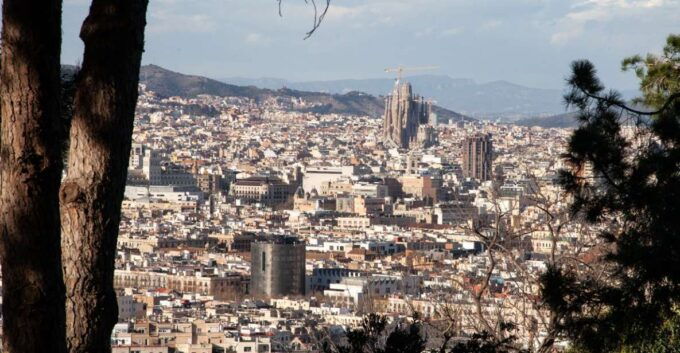 Barcelona Montjuïc Walking Tour: Magic and Transformations - Scenic Views and Gardens