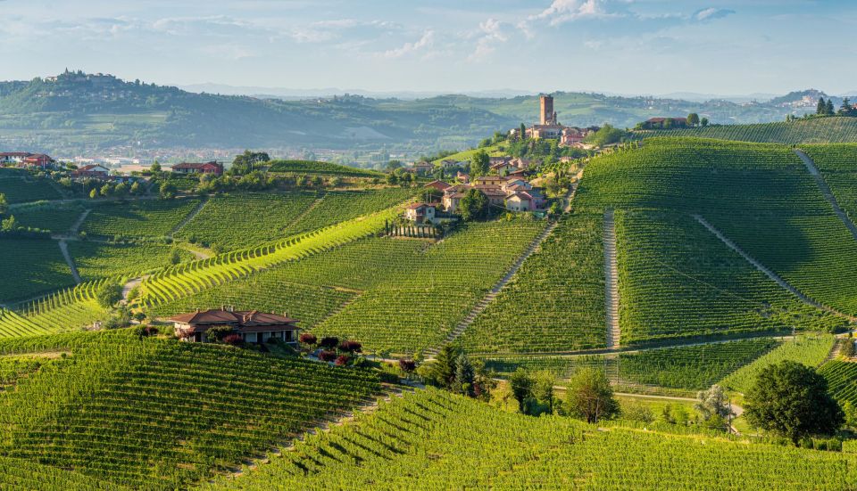 Barolo Winery Private Visit With Gourmet Lunch - Itinerary