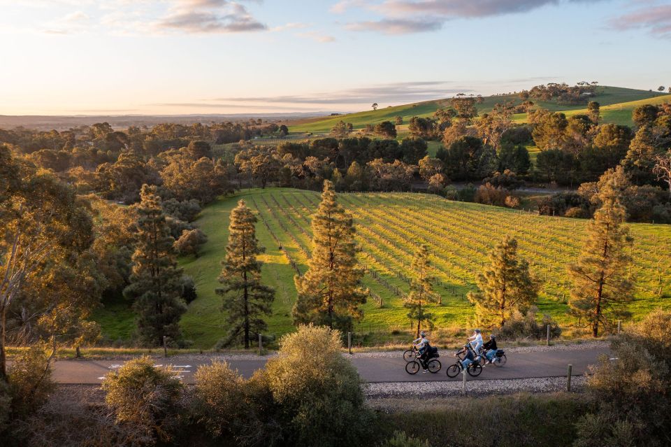 Barossa Valley: Gourmet Food and Wine E-Bike Tour - Tour Highlights