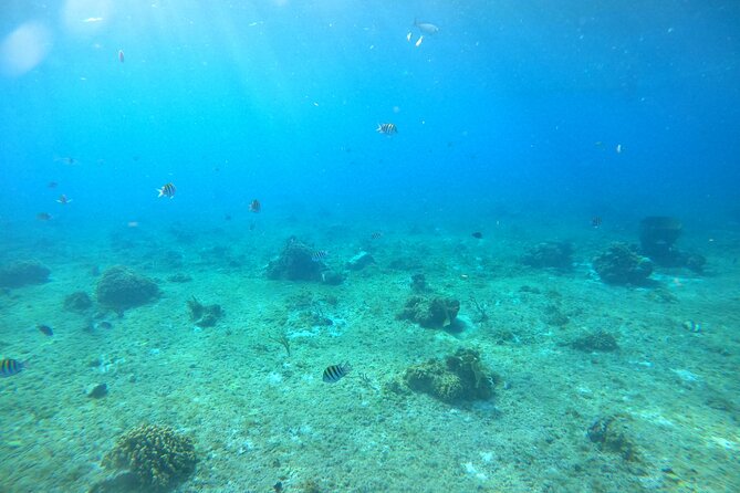 Bavarian Fiesta Snorkel Activity in Glass Bottom Boat at San Miguel De Cozumel - Safety and Requirements