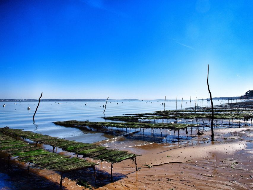 Bay of Arcachon: Guided Food Tour - Meeting Point & Information