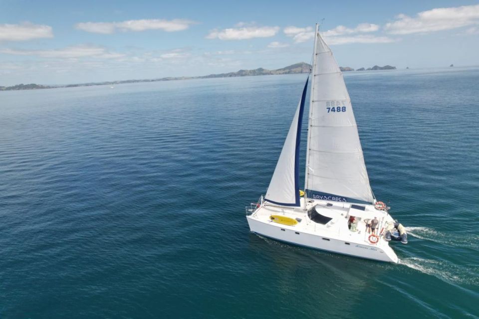 Bay of Islands: Sailing Catamaran Charter With Lunch - Customer Reviews