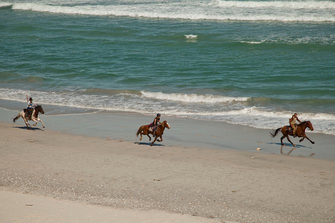 Beach Ride - Stanford - Infant Seating Guidelines