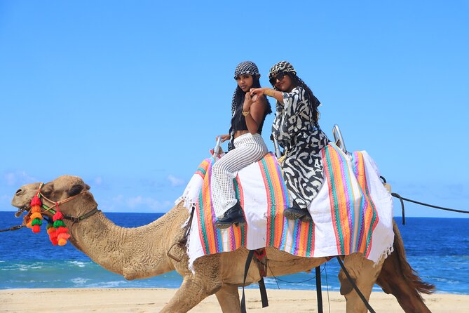 Beach UTV & Camel Ride COMBO in Cabo by Cactus Tours Park - Customer Comparisons