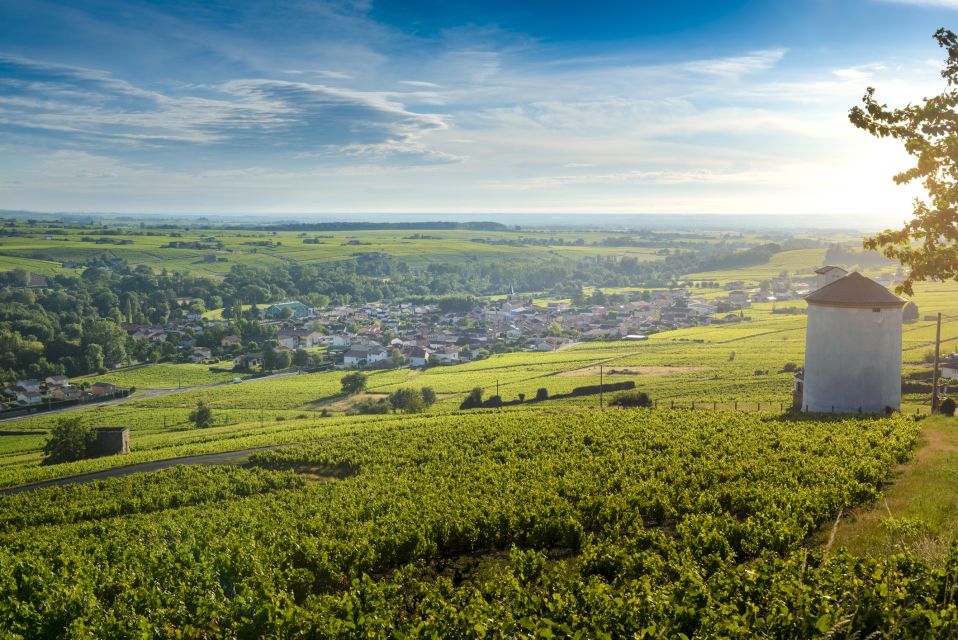 Beaujolais: Segway Tour With Wine Tasting - Inclusions