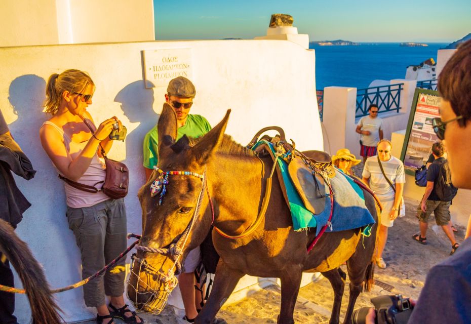 Best of Santorini Full Day Private Trip From Mykonos - Inclusions