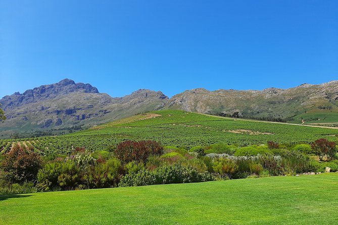 Best of the Winelands Private Tour - Customer Reviews and Ratings