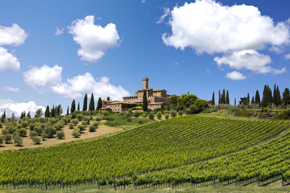 Best of Tuscany: Full Day Private Tour Val Dorcia - Activity Description and Inclusions