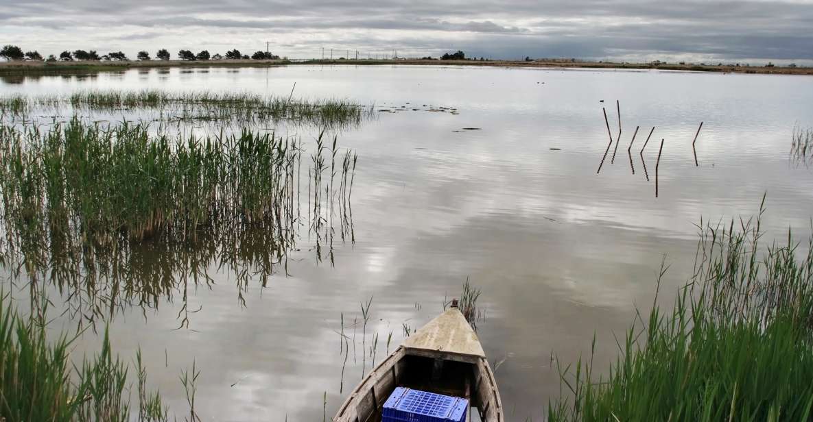 Birdwatching in the Ebro Delta - Provider and Duration