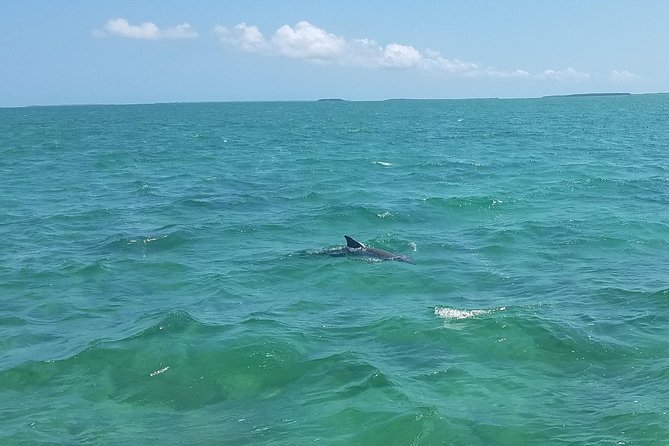 Biscayne National Park By Boat With Island Visit and Park History - Pricing Details