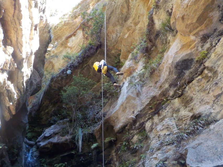 Blue Mountains: Abseiling or Canyoning Experience - Activity Highlights