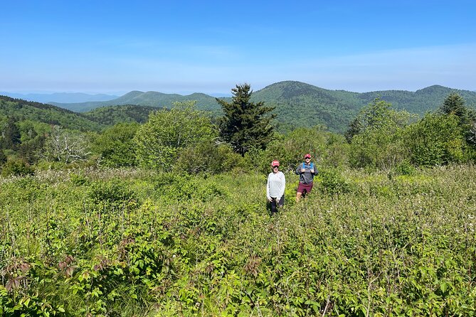 Blue Ridge Mtns Hiking Tour With the Areas Top Rated Trail Expert - Booking Confirmation and Guidelines
