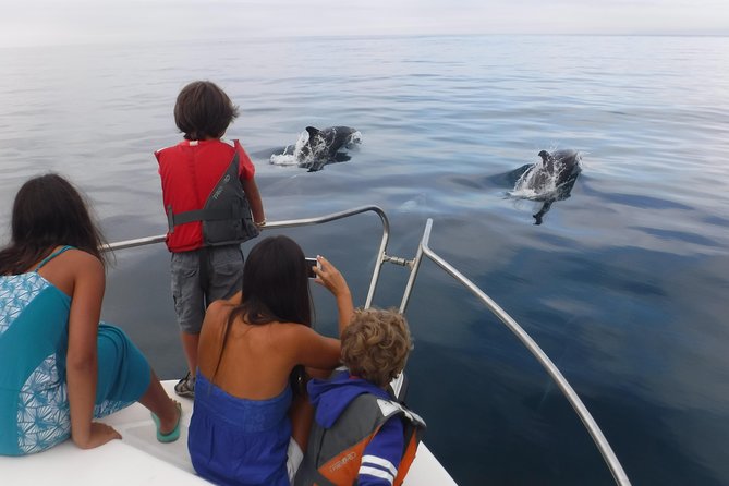 Boat Trip for Dolphin Watching Along the Arrabida Coast and Sesimbra - Participant Guidelines