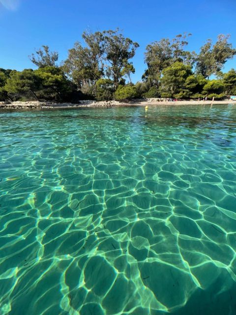 Boat Trip to the Lérins Islands and Cannes - Logistics Information