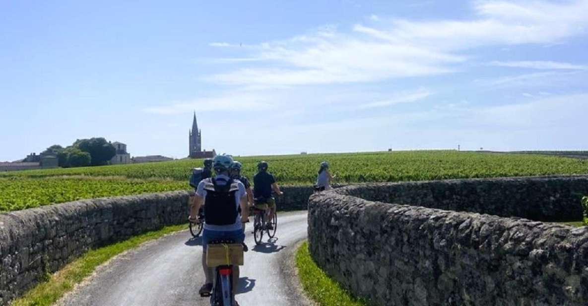 Bordeaux: St-Emilion Vineyards E-Bike Tour With Wine & Lunch - Full Description