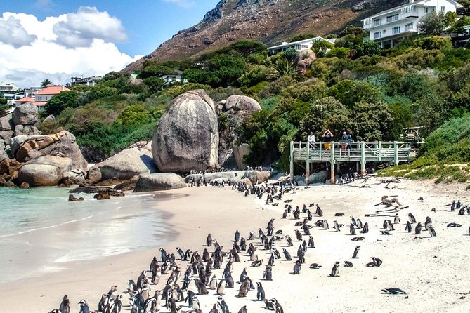 Breath-taking Cape Peninsula Tour - Important Additional Information