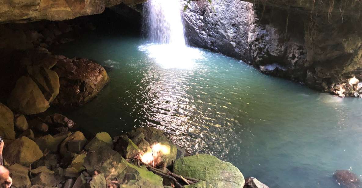 Brisbane: Springbrook and Mt Tamborine Rainforest Day Tour - Highlights and Inclusions