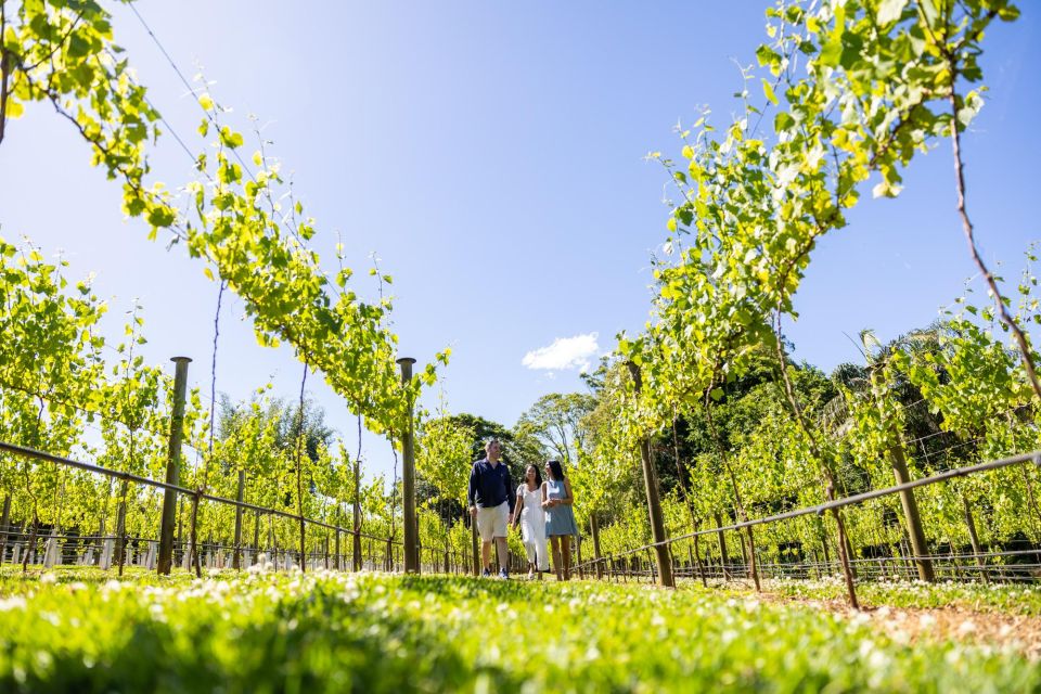 Brisbane/Tamborine Mountain: Local Winery Tour With Lunch - Tour Experience