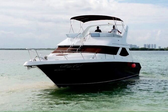 Brown Yacht 48ft Rental in Cancun for up to 15 People - Traveler Feedback and Support