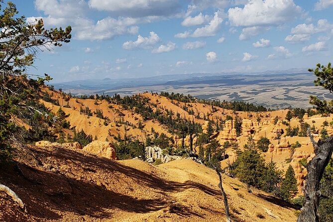 Bryce Canyon Area 4-Hour Small-Group Horseback Ride  - Bryce Canyon National Park - Common questions