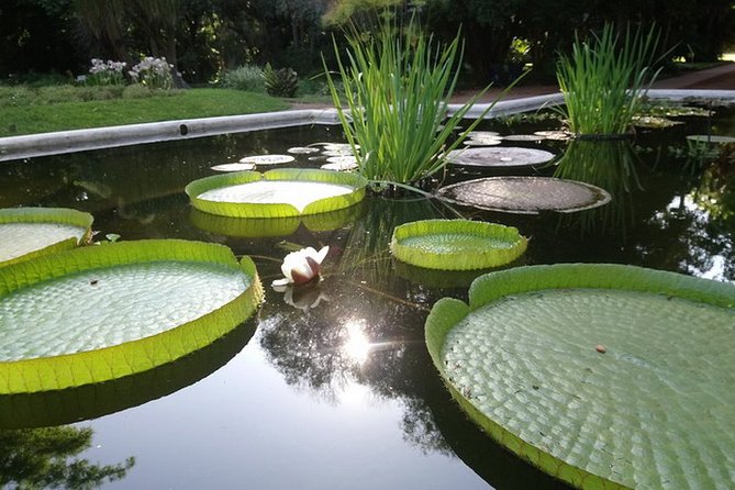 Buenos Aires Private Tour Discovering Palermo, The Japanese & Botanical Gardens - Exclusive Insights From a Private Tour