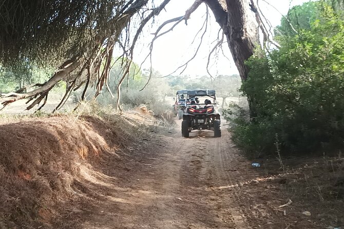 Buggy Adventure - 2 Hours Off-Road Guided Tour From Albufeira - Reviews and Ratings