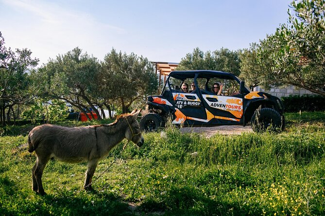 Buggy Dubrovnik Safari Tour (Private) - Cancellation Policy Details