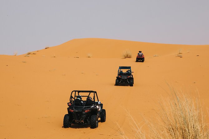 Buggy Ride Desert Tour - Experience Highlights